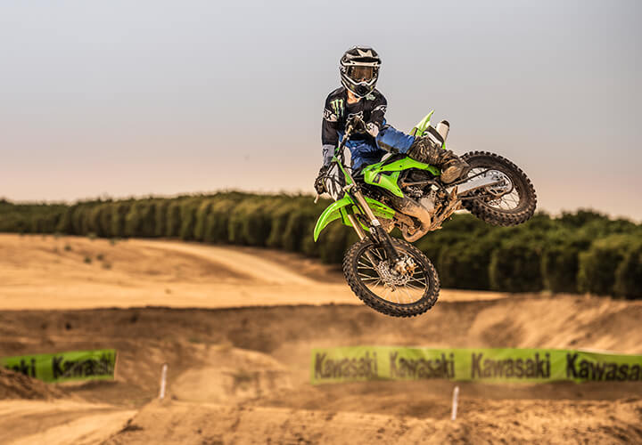 KAWASAKI TERYX: TERYX LE