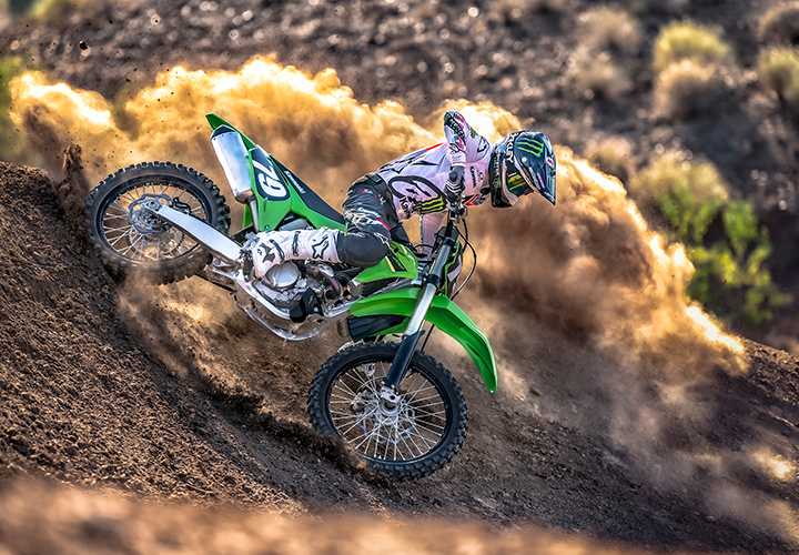 KAWASAKI TERYX: TERYX LE