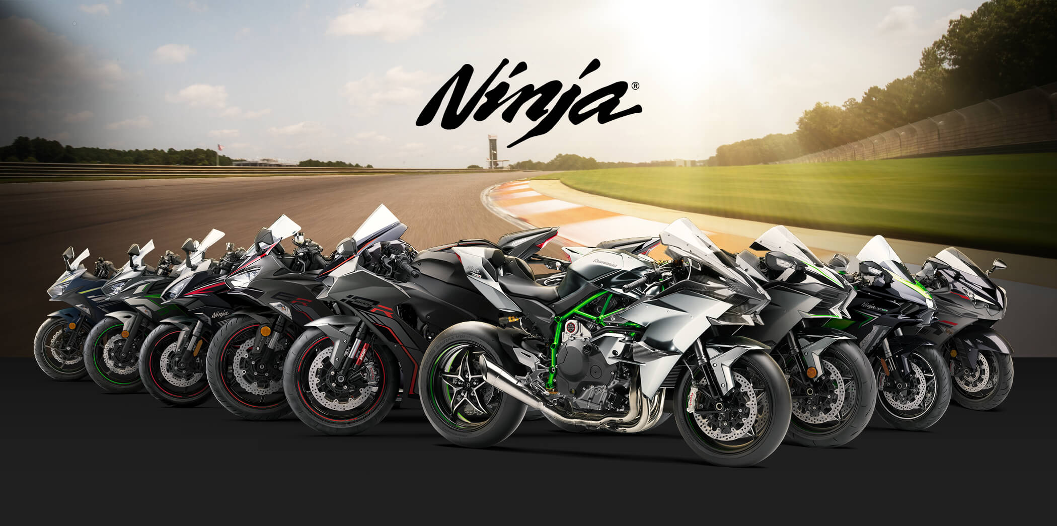 Ninja FAMILY: Ninja