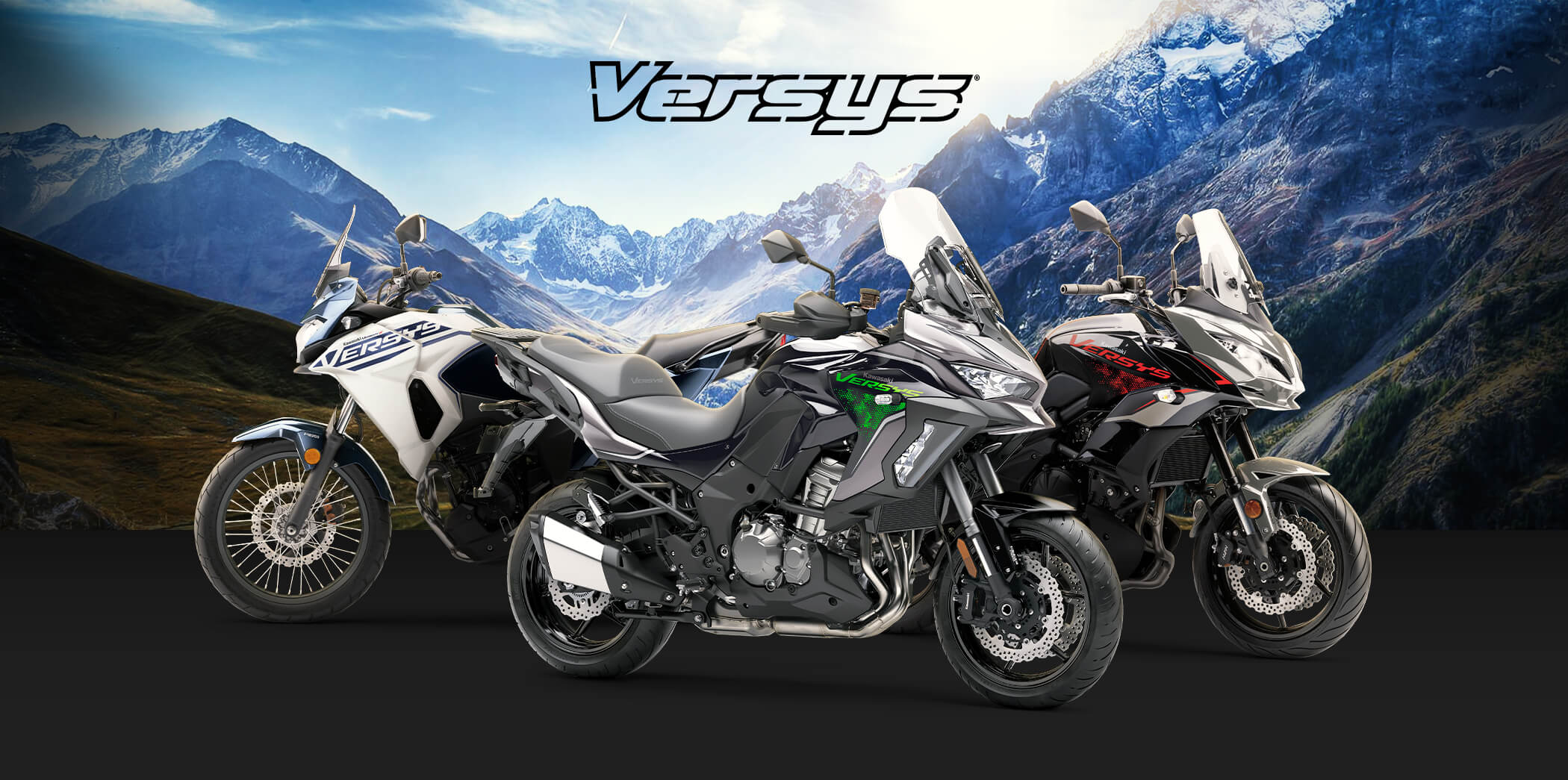 versys FAMILY: