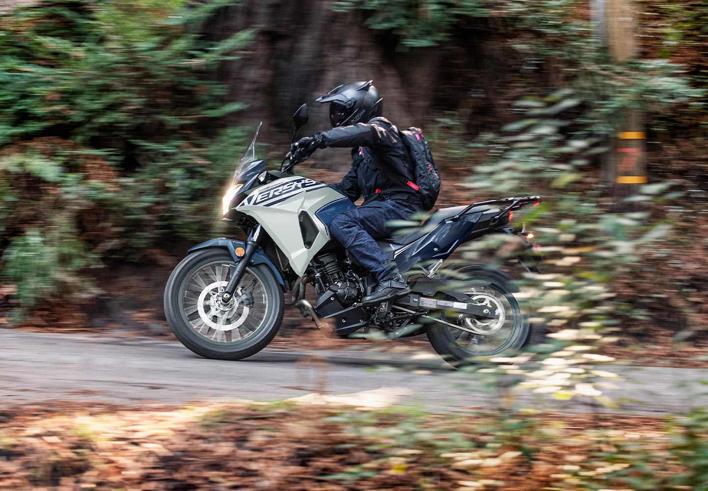 KAWASAKI Versys