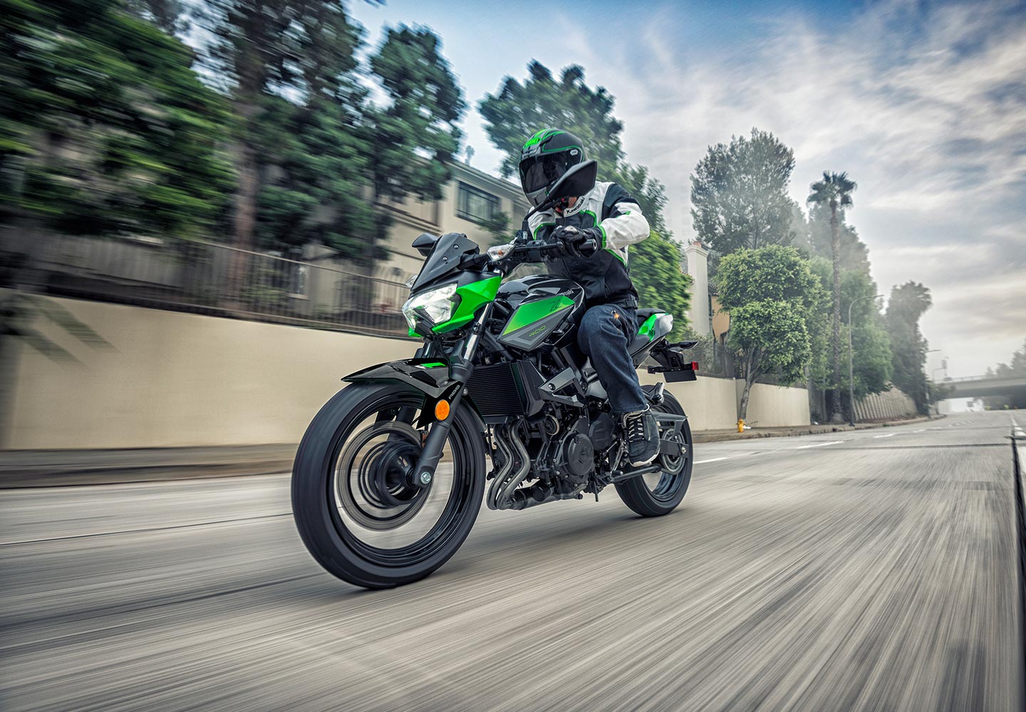 KAWASAKI TERYX: TERYX LE