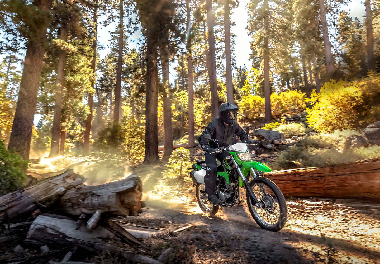 KAWASAKI KLX