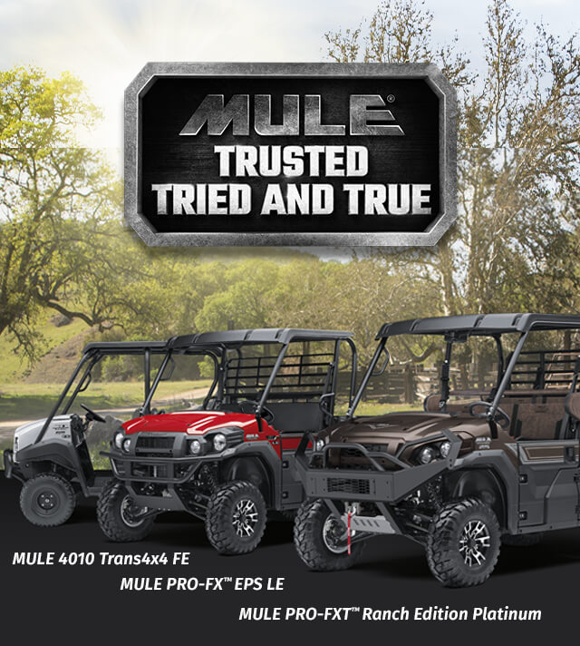 MULE FAMILY: MULE 4010 MULE PRO-FXT RANCH EDITION MULE PRO-MX EPS LE MULE PRO-MX EPS MULE PRO-FXR MULE SX 4X4 XC LE FI SMALL IMAGE