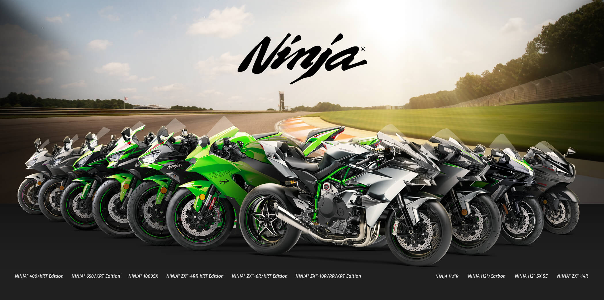 Ninja FAMILY: Ninja