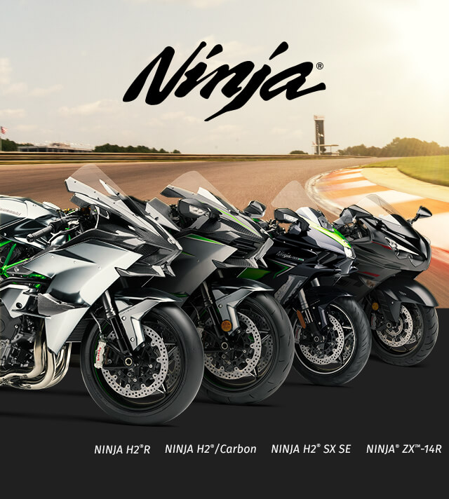 Ninja FAMILY: Ninja IMAGE