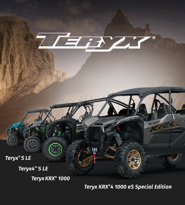 TERYX FAMILY: TERYX 4 LE TERYX KRX 1000 TERYX LE SMALL Teryx KRX®️4 1000 eS Special Edition IMAGE