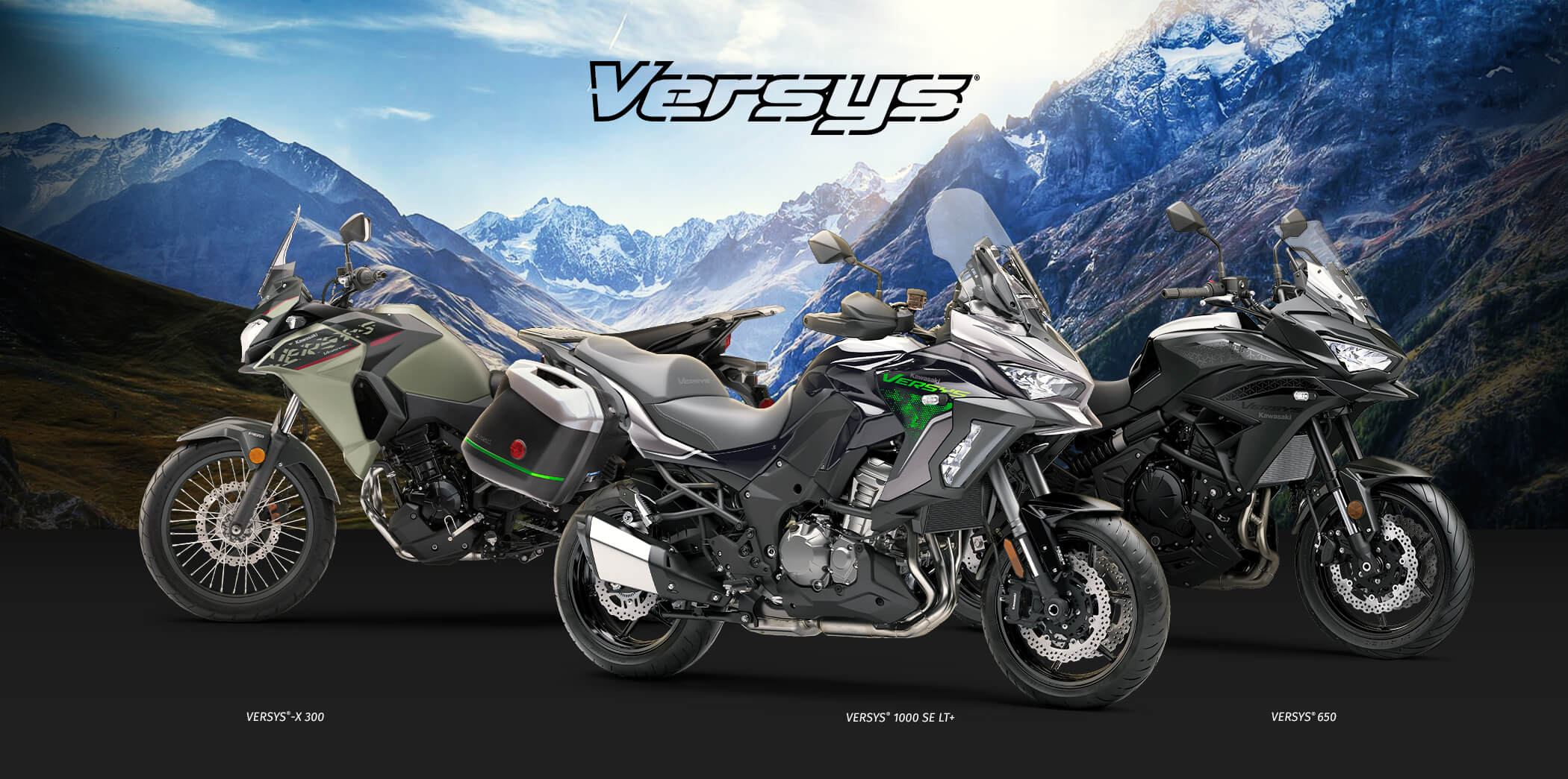 versys FAMILY: