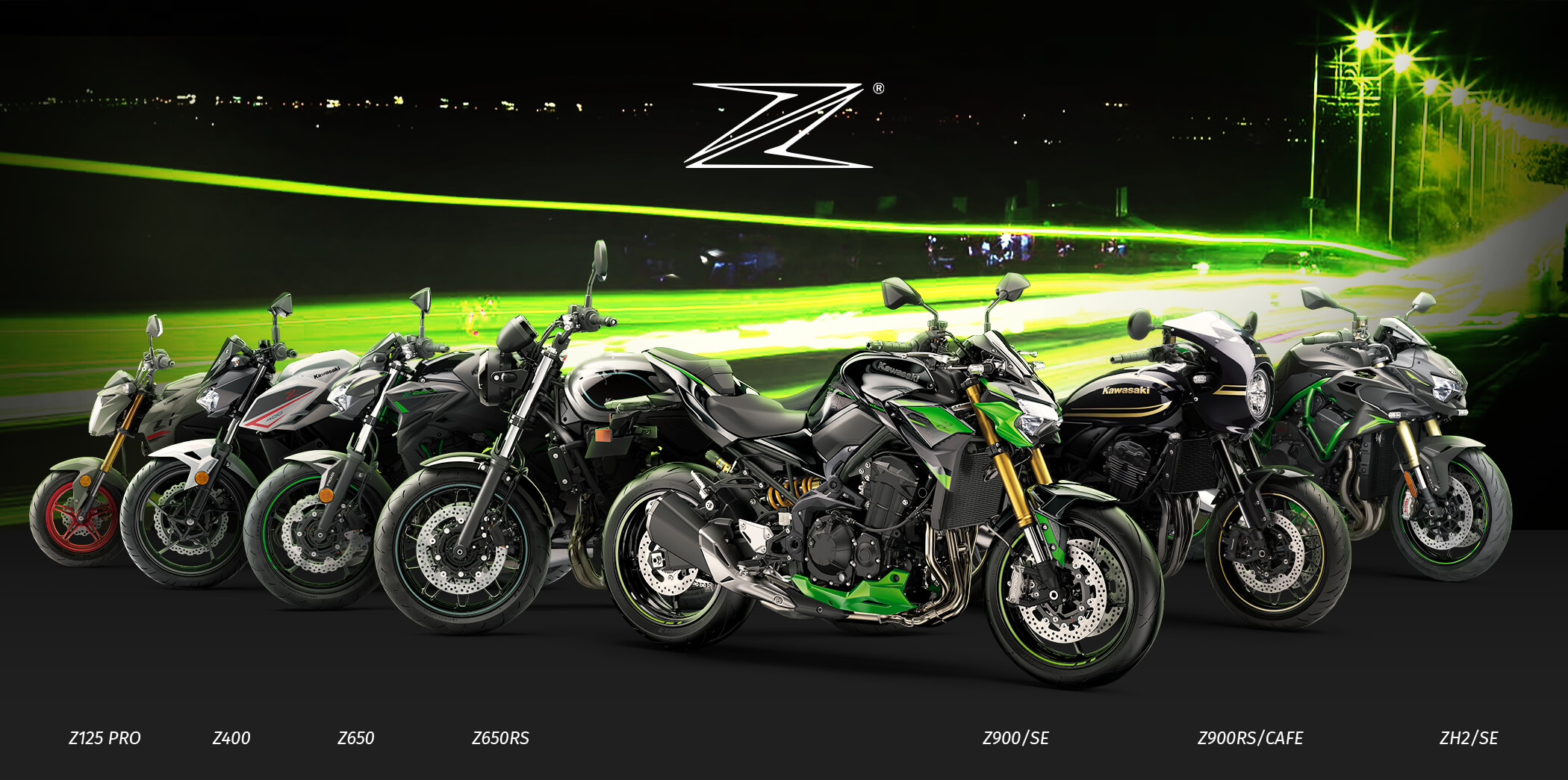 Z FAMILY