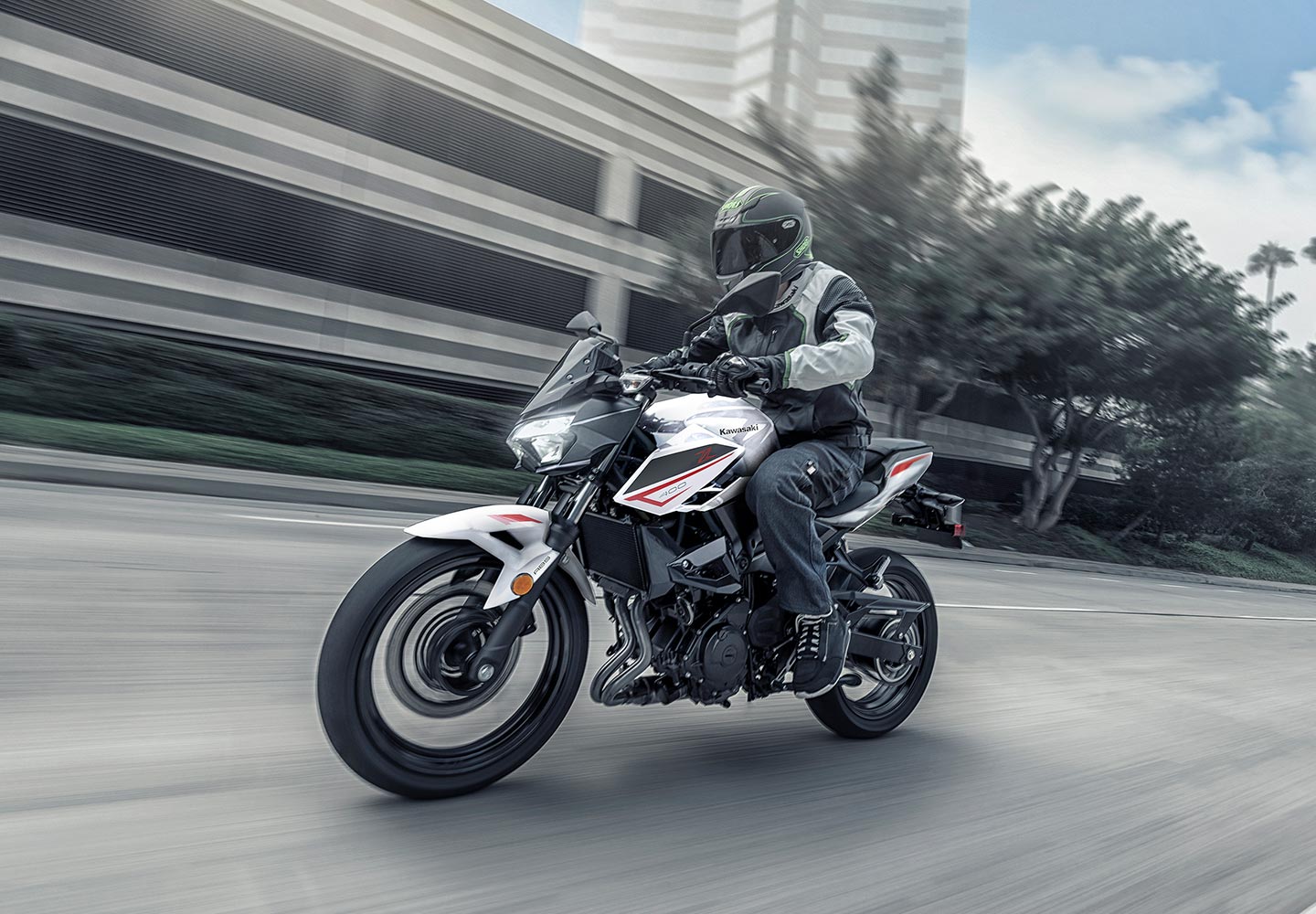 KAWASAKI TERYX: TERYX LE