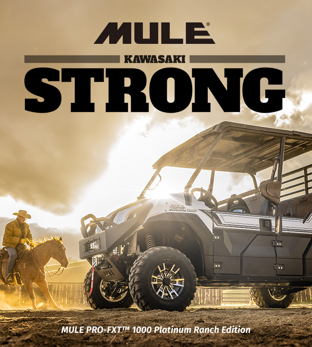 MULE FAMILY: MULE 4010 MULE PRO-FXT RANCH EDITION MULE PRO-MX EPS LE MULE PRO-MX EPS MULE PRO-FXR MULE SX 4X4 XC LE FI SMALL IMAGE