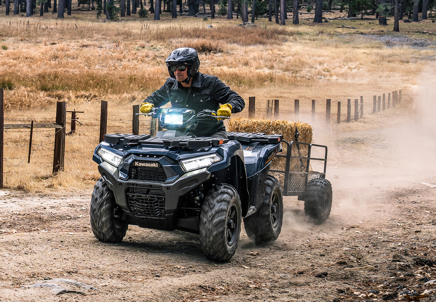 KAWASAKI Brute Force